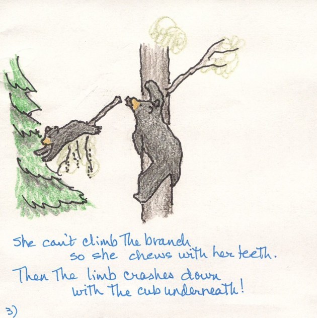 cartoon 3 bear chew branch 1june2014